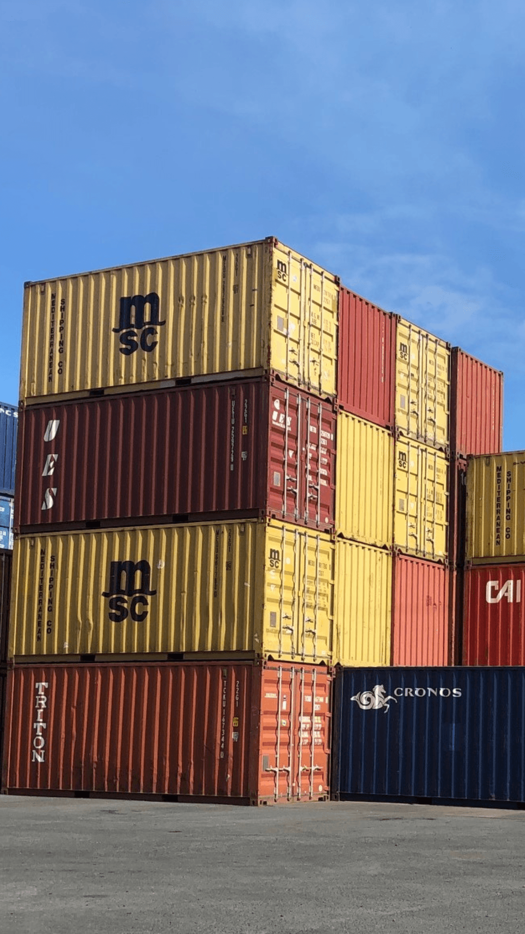 TOM MEDLOG Carousel Image 1